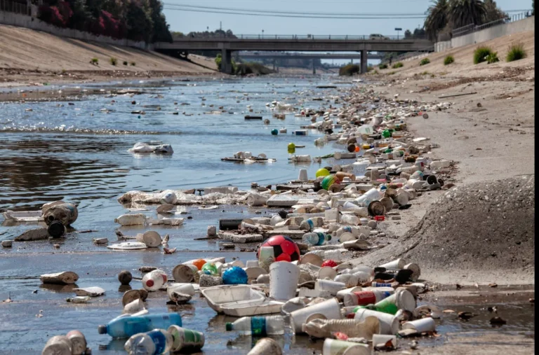 US Plastic Reduction Policies Show Early Success Now