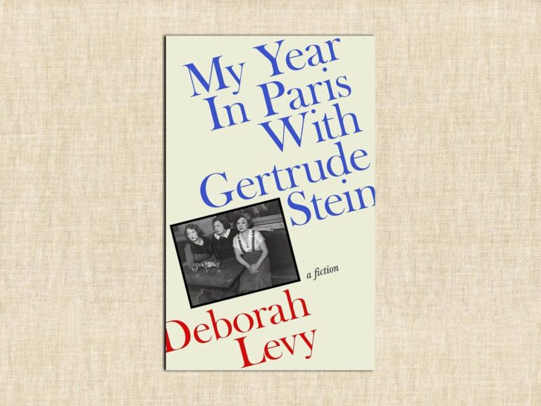 Deborah Levy novel review Paris Stein Trump NYT EU
