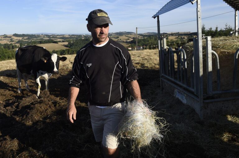 French Farms Face New Cheese Rules As Drought Hits